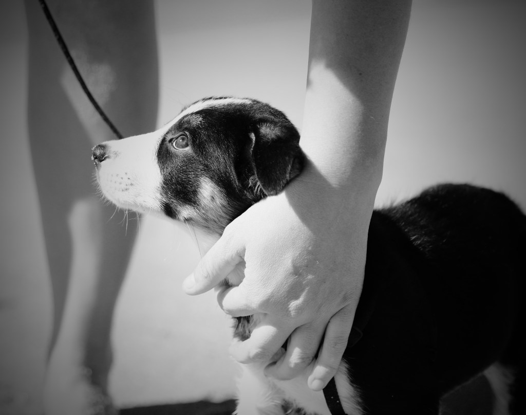 Keebler’s Elfin Magic